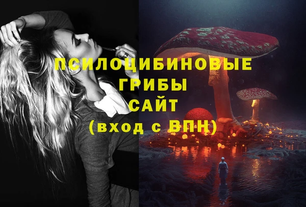 прущий лед Бронницы